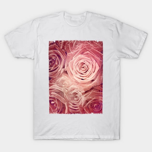 Distressed Roses T-Shirt by DyrkWyst